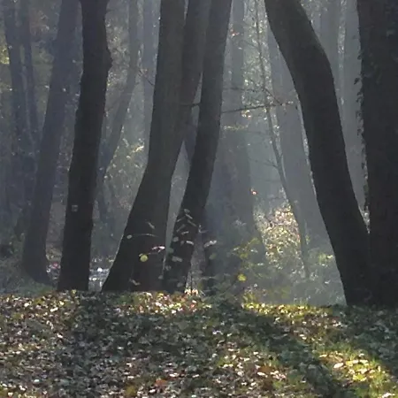 C.p. 9 * Kouřim