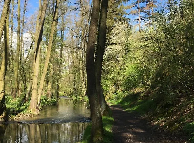 C.p. 9 Πανσιόν Kouřim